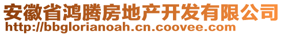 安徽省鴻騰房地產(chǎn)開發(fā)有限公司