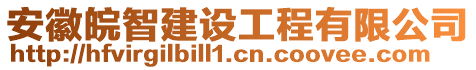 安徽皖智建設(shè)工程有限公司