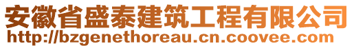 安徽省盛泰建筑工程有限公司