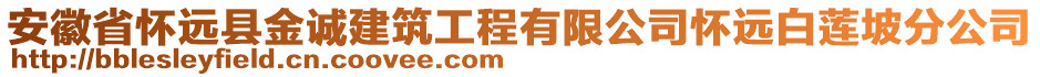 安徽省懷遠縣金誠建筑工程有限公司懷遠白蓮坡分公司