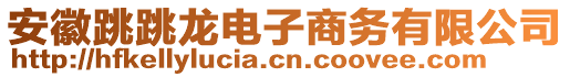 安徽跳跳龍電子商務(wù)有限公司