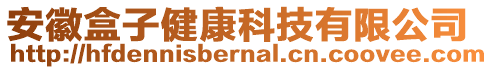 安徽盒子健康科技有限公司