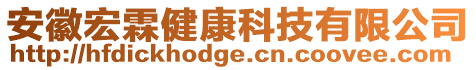 安徽宏霖健康科技有限公司
