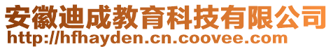 安徽迪成教育科技有限公司