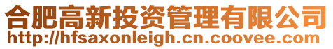 合肥高新投資管理有限公司