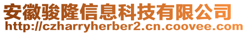 安徽駿隆信息科技有限公司