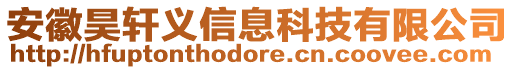 安徽昊軒義信息科技有限公司