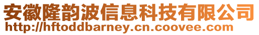 安徽隆韻波信息科技有限公司