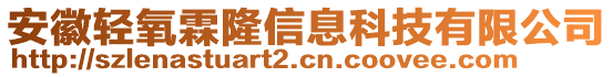 安徽輕氧霖隆信息科技有限公司