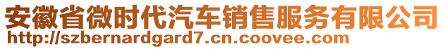 安徽省微時代汽車銷售服務有限公司