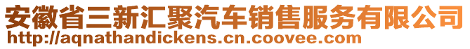 安徽省三新匯聚汽車銷售服務(wù)有限公司
