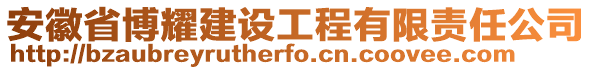安徽省博耀建設(shè)工程有限責任公司