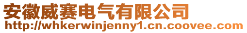安徽威賽電氣有限公司