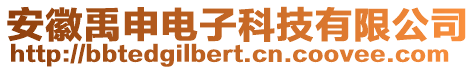 安徽禹申電子科技有限公司