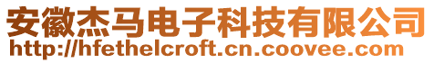 安徽杰馬電子科技有限公司