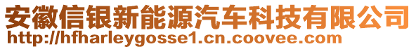 安徽信銀新能源汽車科技有限公司