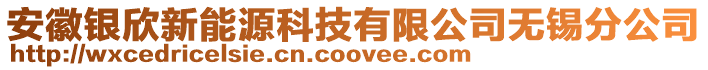 安徽銀欣新能源科技有限公司無錫分公司