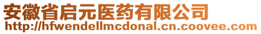 安徽省啟元醫(yī)藥有限公司