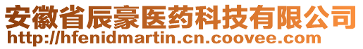 安徽省辰豪醫(yī)藥科技有限公司