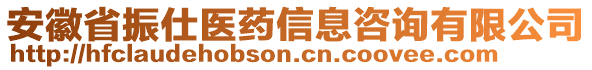 安徽省振仕醫藥信息咨詢有限公司