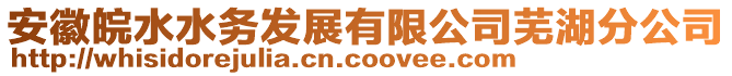 安徽皖水水務(wù)發(fā)展有限公司蕪湖分公司