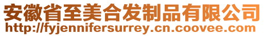 安徽省至美合發制品有限公司