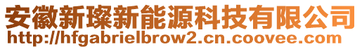 安徽新璨新能源科技有限公司