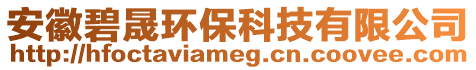 安徽碧晟環(huán)保科技有限公司
