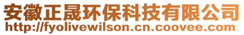 安徽正晟環保科技有限公司
