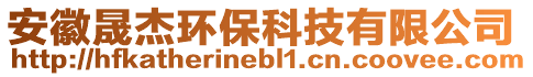 安徽晟杰環保科技有限公司