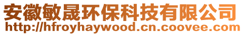 安徽敏晟環保科技有限公司