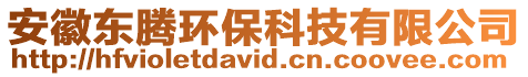 安徽東騰環(huán)保科技有限公司