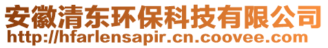 安徽清東環(huán)保科技有限公司