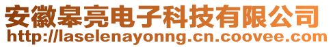 安徽皋亮電子科技有限公司