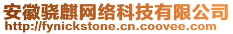 安徽驍麒網(wǎng)絡(luò)科技有限公司