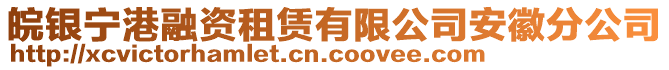 皖銀寧港融資租賃有限公司安徽分公司