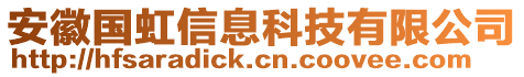 安徽國(guó)虹信息科技有限公司