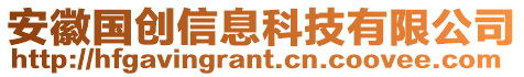 安徽國(guó)創(chuàng)信息科技有限公司