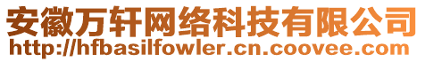 安徽萬(wàn)軒網(wǎng)絡(luò)科技有限公司