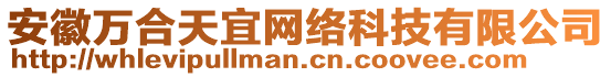 安徽萬合天宜網絡科技有限公司