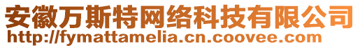 安徽萬斯特網(wǎng)絡(luò)科技有限公司