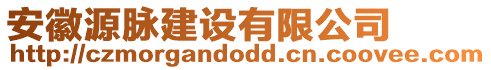 安徽源脈建設(shè)有限公司