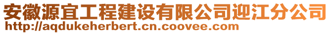 安徽源宜工程建設(shè)有限公司迎江分公司