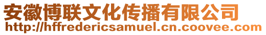 安徽博聯文化傳播有限公司