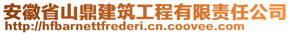 安徽省山鼎建筑工程有限責任公司