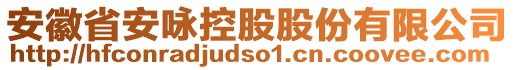 安徽省安詠控股股份有限公司
