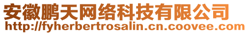 安徽鵬天網(wǎng)絡(luò)科技有限公司