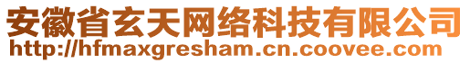 安徽省玄天網(wǎng)絡(luò)科技有限公司