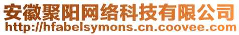 安徽聚陽網(wǎng)絡(luò)科技有限公司