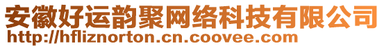 安徽好運韻聚網絡科技有限公司